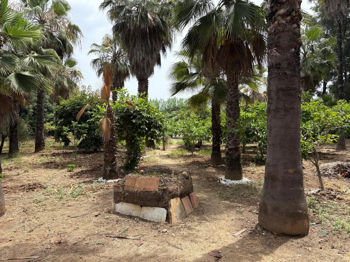 d55e39a7-9407-4b0d-a9a3-6dde374e165d