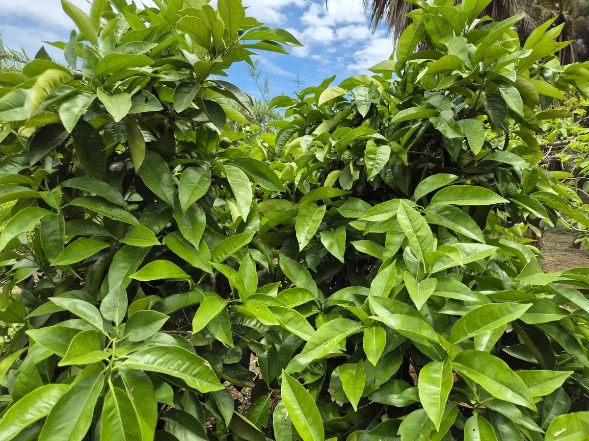 d7db635a-6930-4884-a431-7b226d1030bb