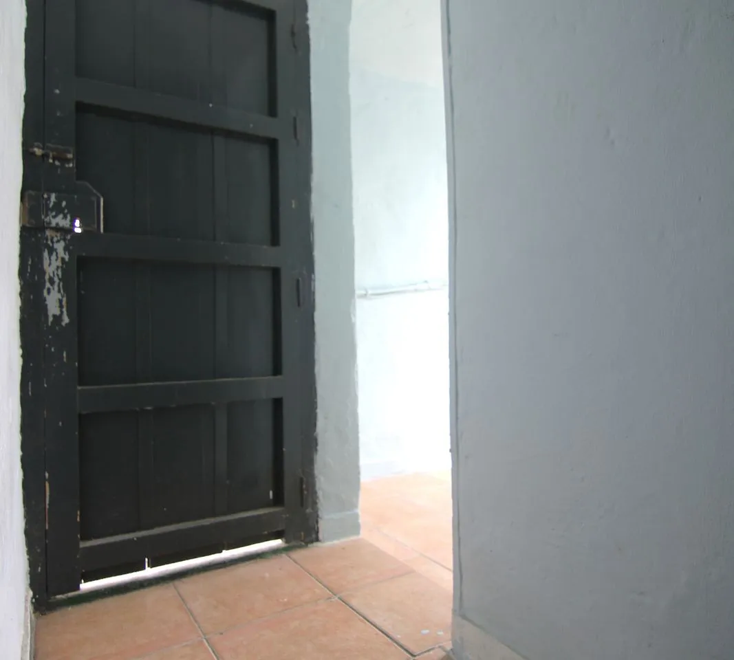 d69324e8-cc80-41b4-9676-56c2060b2019