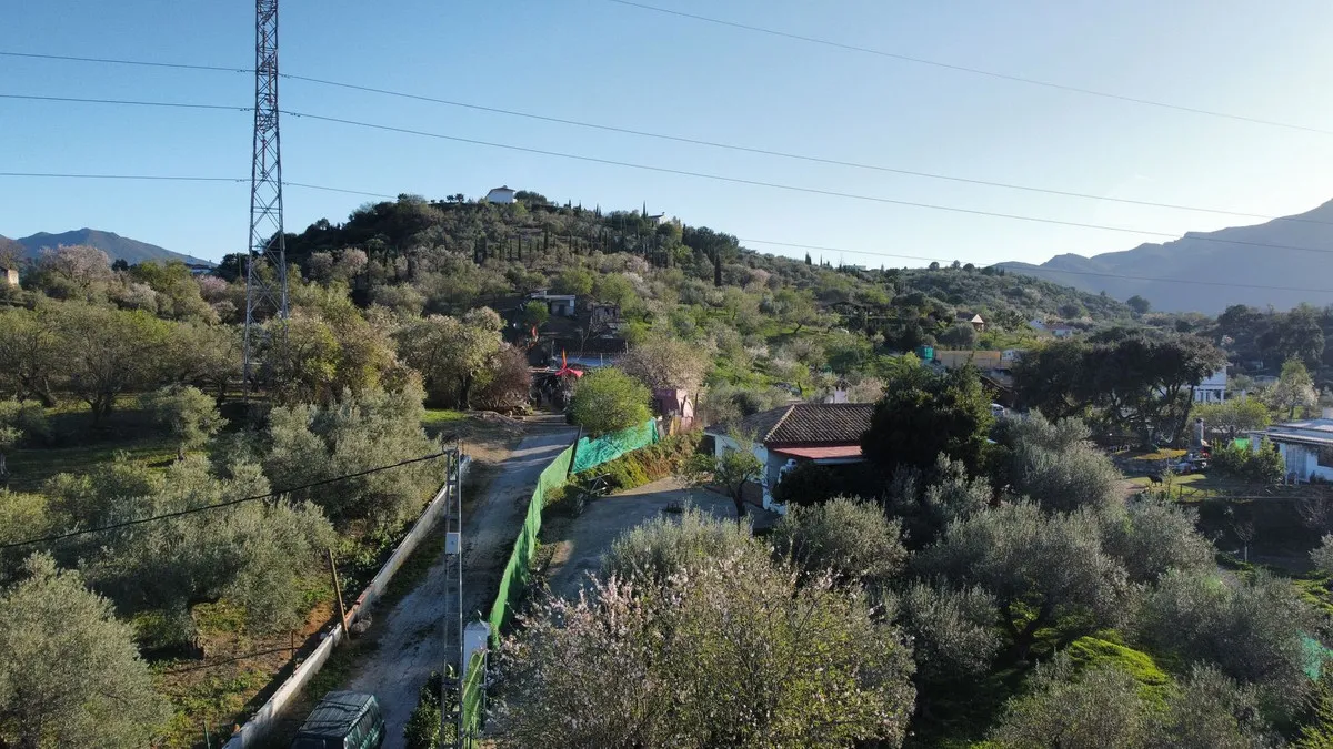 b881d49a-07b2-45aa-a3cb-d234858601ae