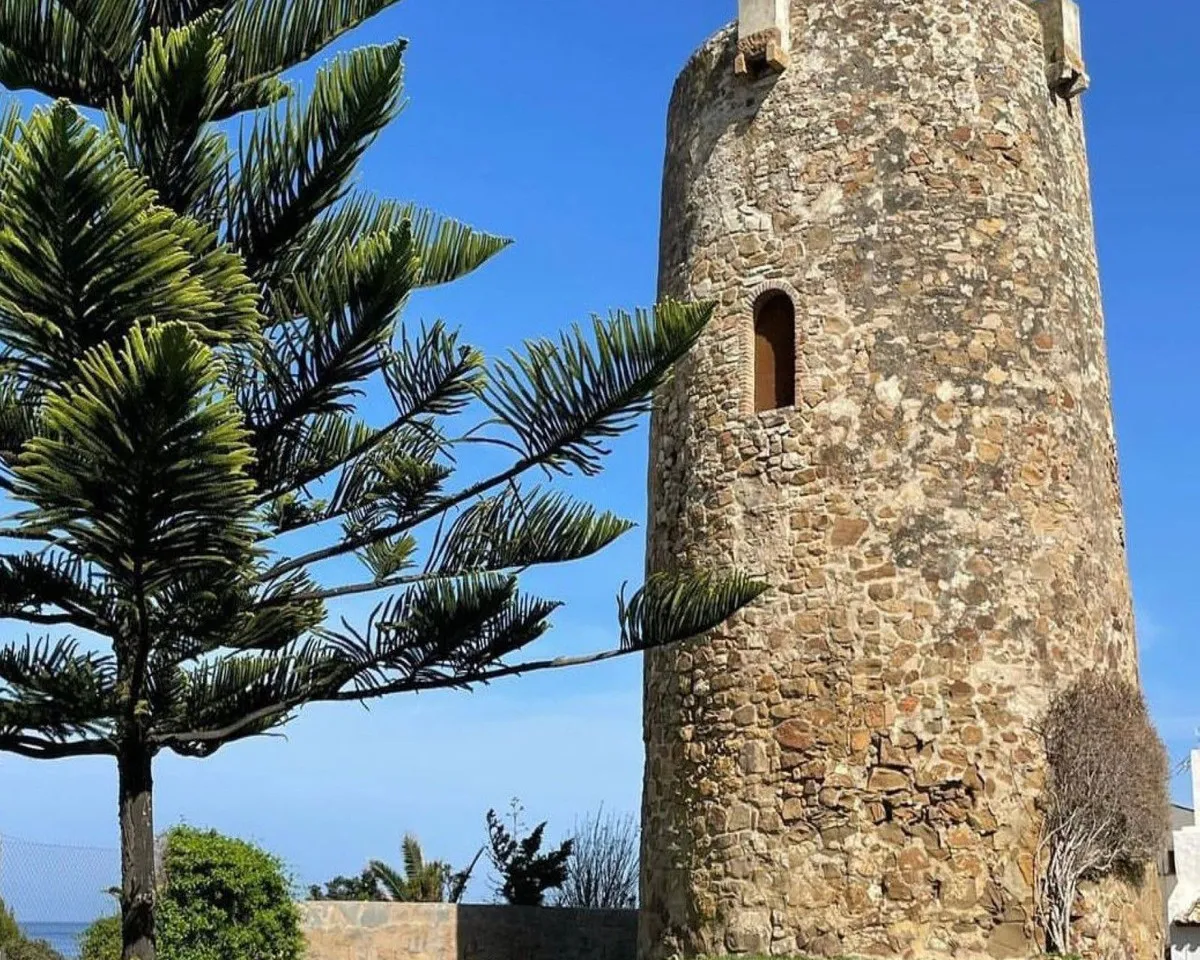 feaec177-2c6a-46bf-a787-b6e8439ecdb0