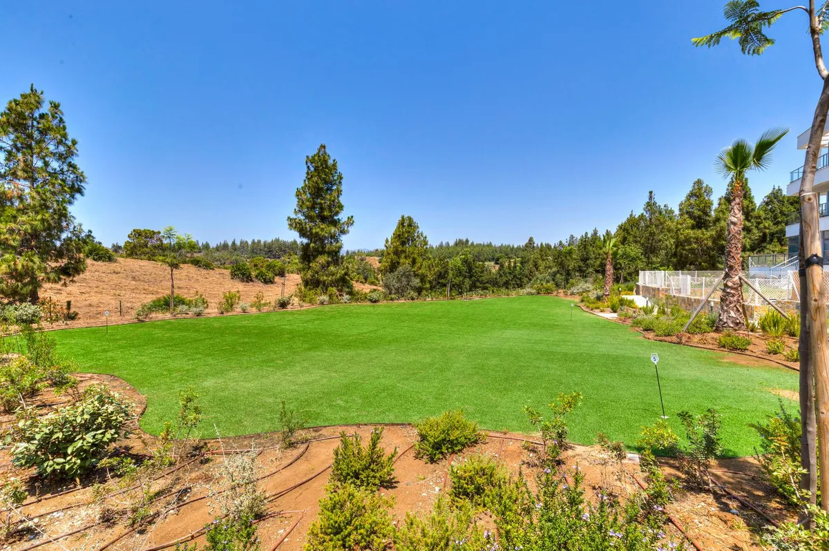 a2215bf5-11ac-4dd2-bc3d-3ca8d4d352cc