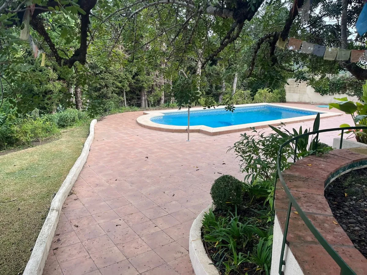 555803f8-4e4e-46a0-b431-6b9f453625af