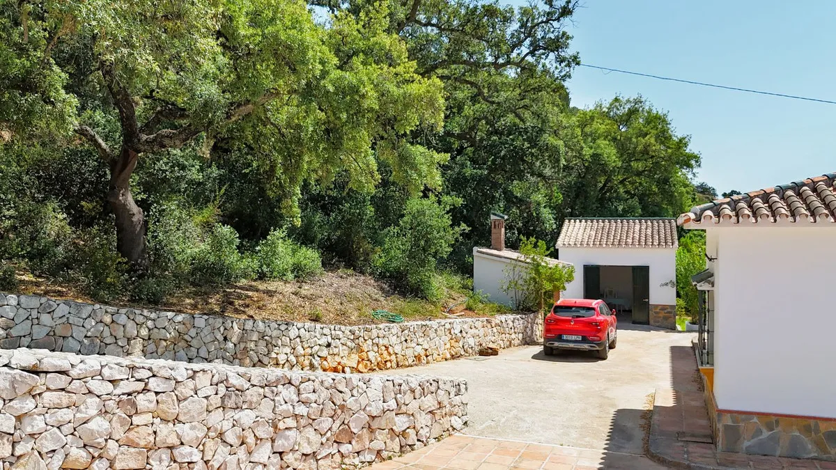 b1d254b1-86e8-4038-8b39-49297c45d9b6