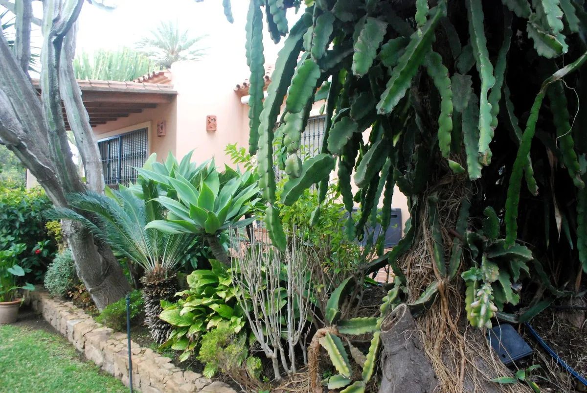 5b3d2633-505d-41fe-a7c8-ac58b055f22e