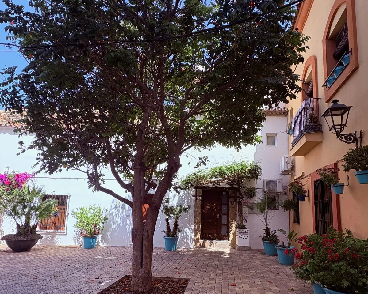 465b288d-da6d-41b1-ad6e-0a9b30e3bebc