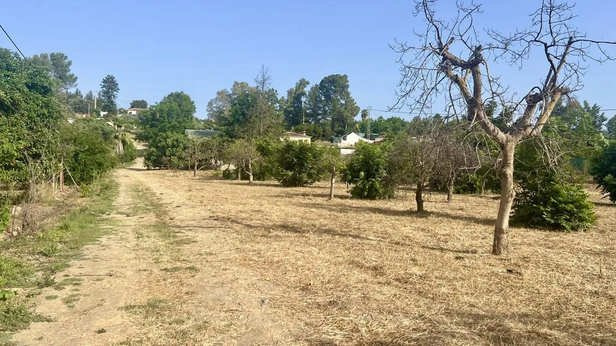 0d1fb09c-ebbe-4aba-b7cf-68b30d06ba5d