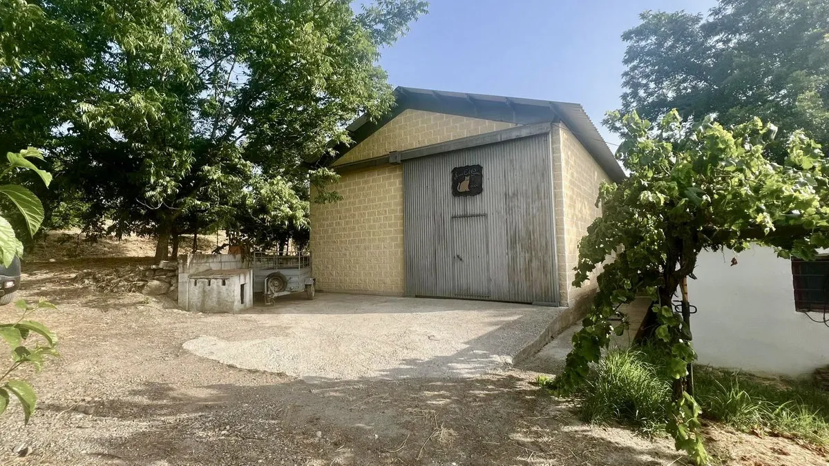 2b8a9007-38bc-4d1f-b75d-76f5ce04ed35