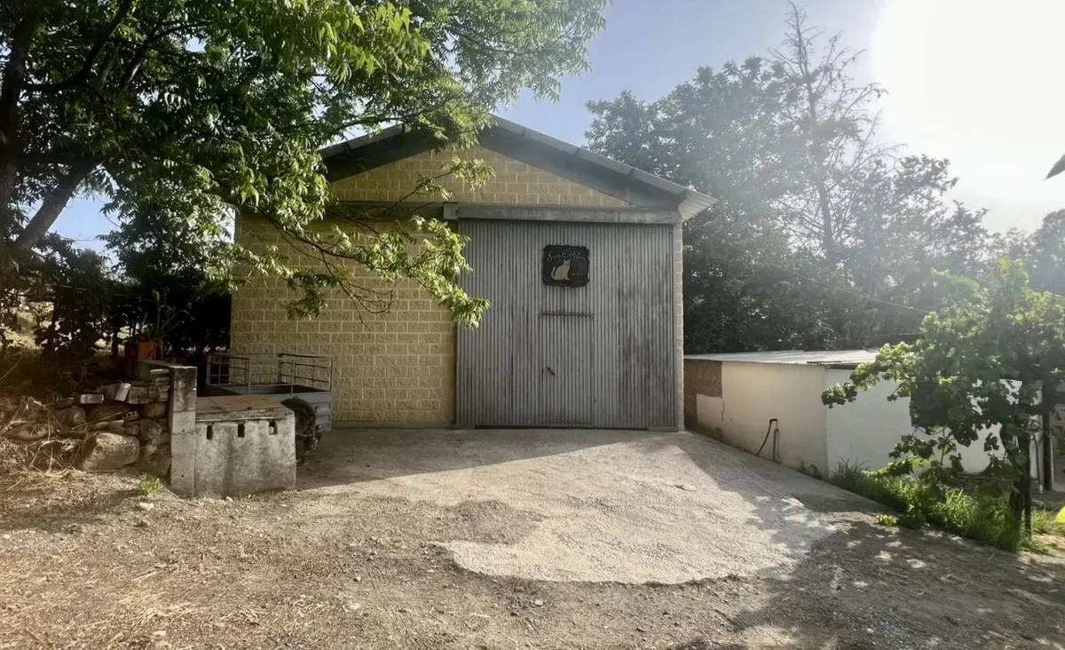 d027934f-6c41-422d-8878-a94138ac4611