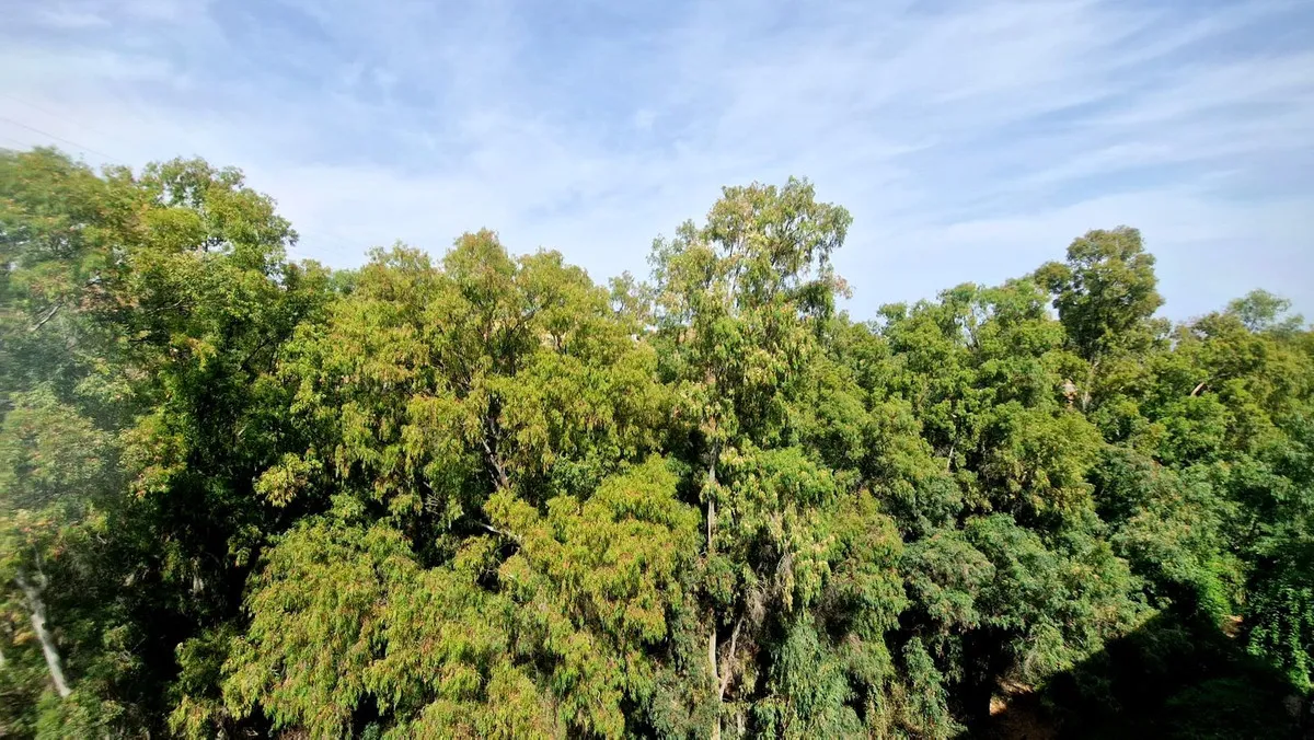 e56721eb-c36e-4957-a4ae-ab50572e5d73