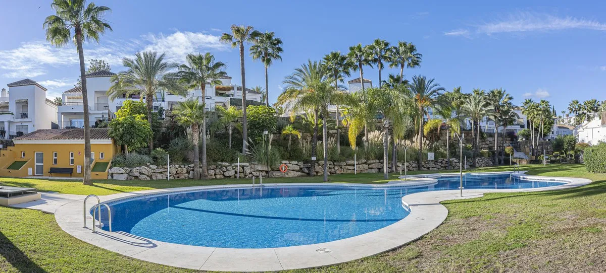 d3099597-3dfa-45c9-9c83-7ca20e15506e