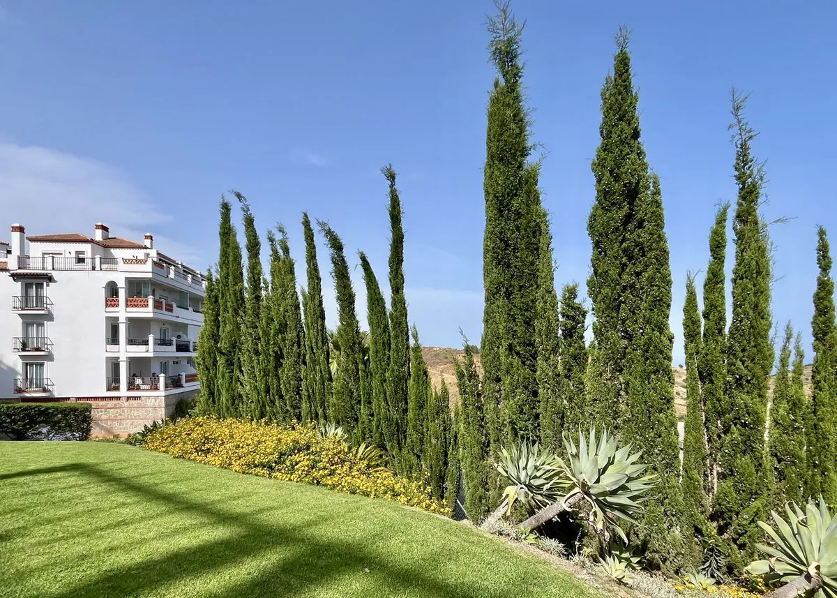 2ff5aa07-093e-4a4f-91db-66d5ea8c28ce