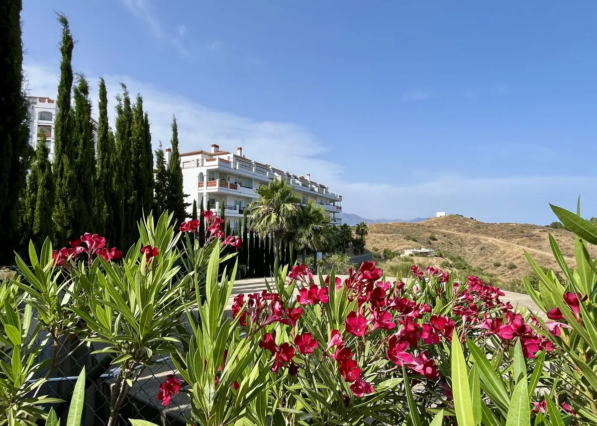 96192fed-61e4-47ba-9178-7ca0542f16e6