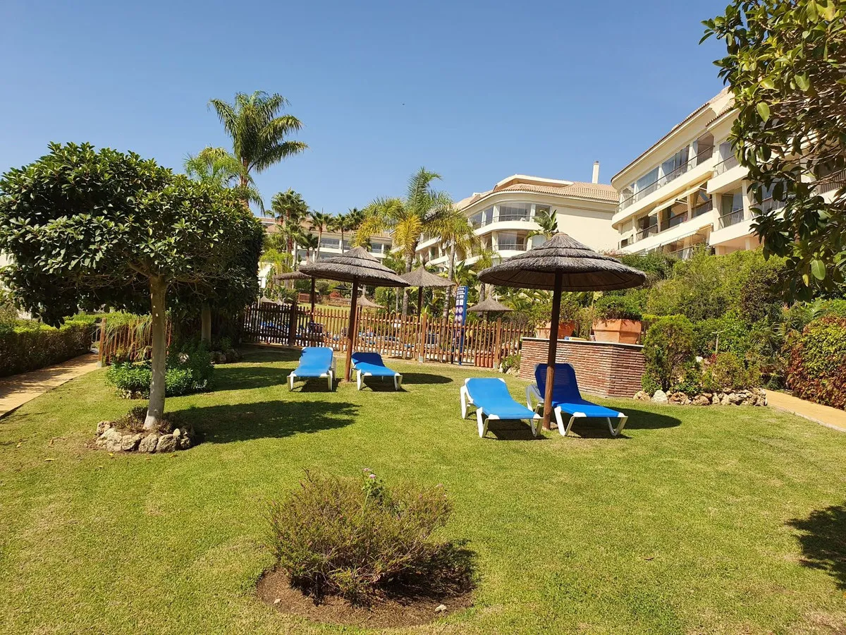 2412ca45-7b6d-4bb9-b5d1-e20eea289ddd