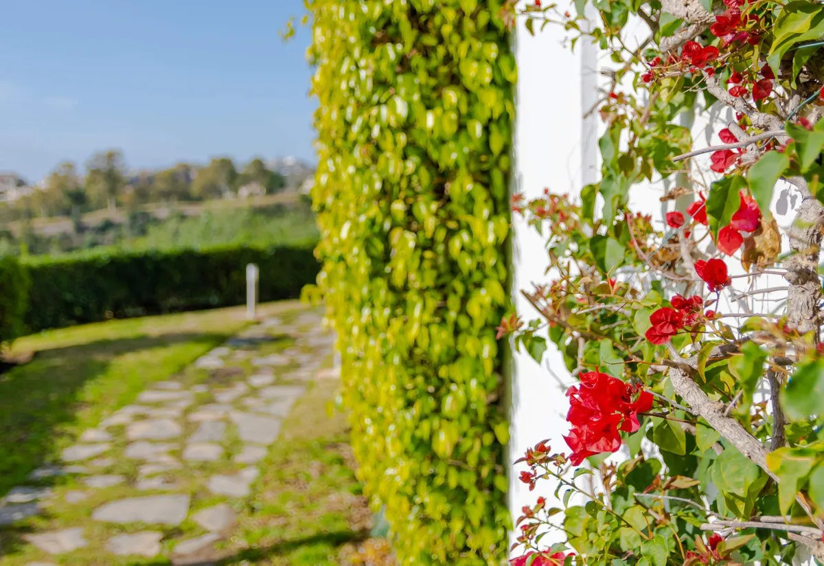 580ed951-2aed-4927-b886-c4c345b778eb