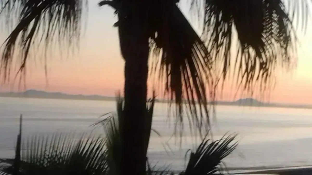 cfd62f4e-7200-44ee-aa67-f8680853d086