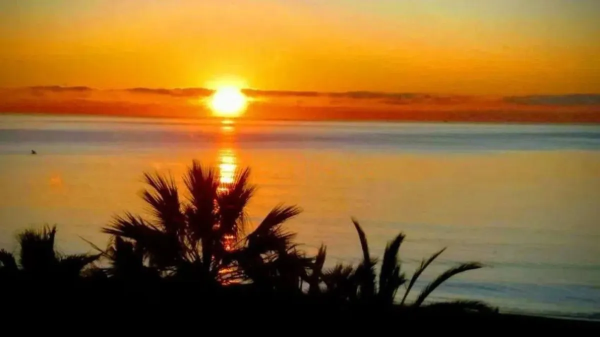 e1e41589-f536-4db2-b0d6-076499177353