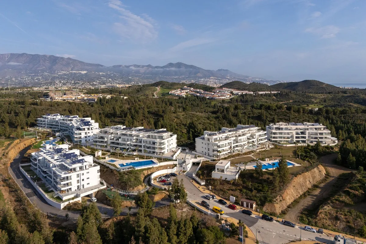 53e1de77-c25d-4bca-9e7a-27f2a43b4825