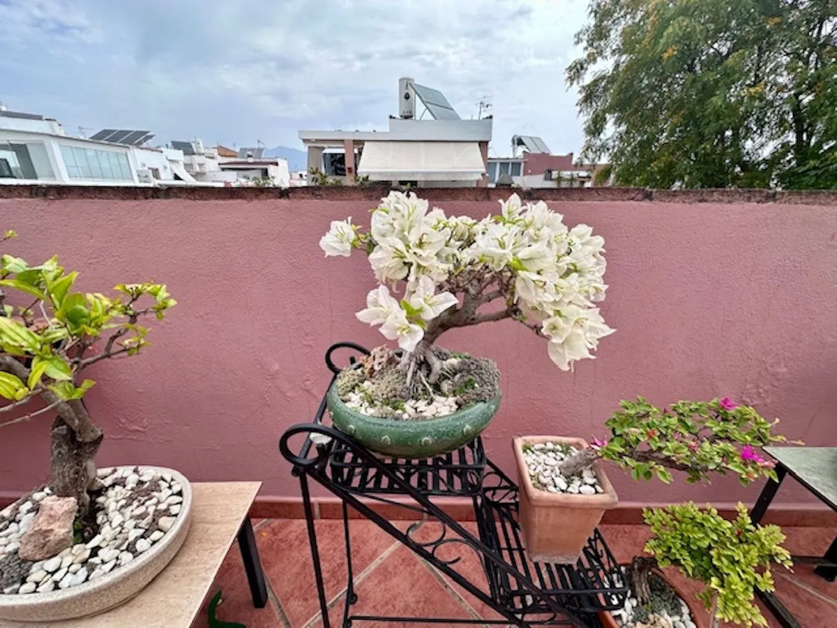 432353c9-6a1a-4c37-b223-065a5e8e728b