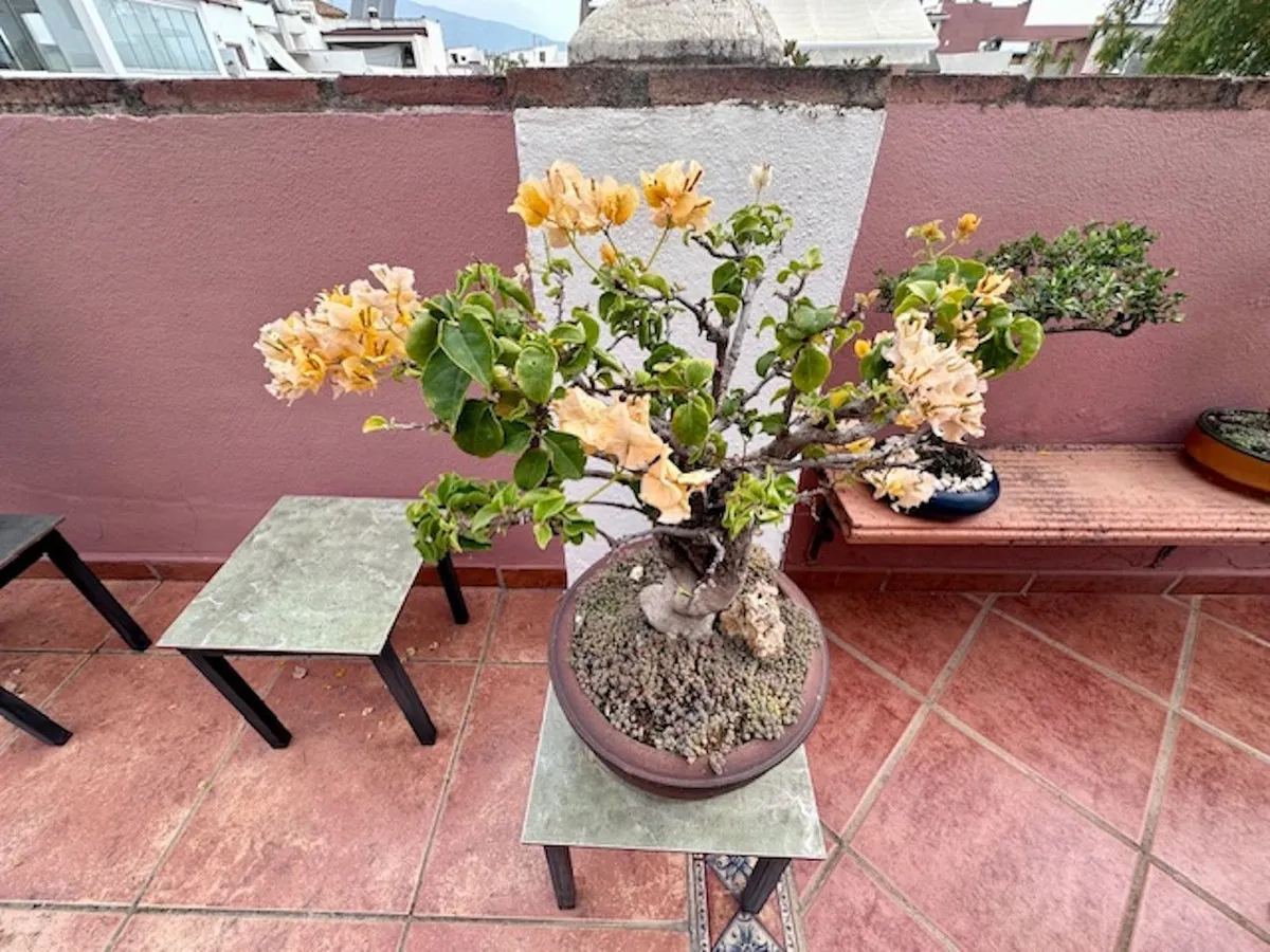 f322c096-64fe-4343-86d3-bf299c534f15