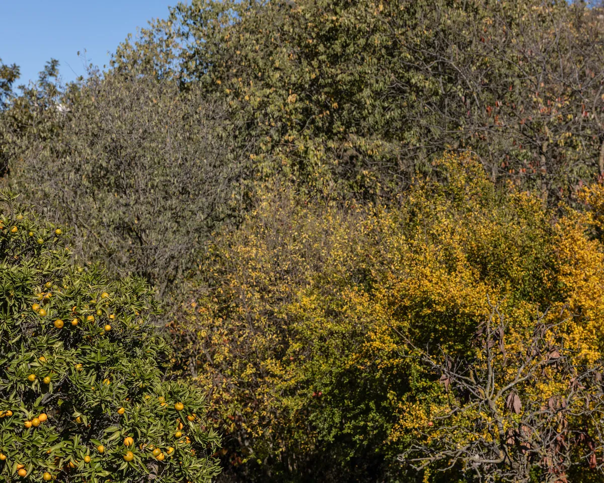 1141c5a9-cfb8-4a84-867e-f1debadfaea6