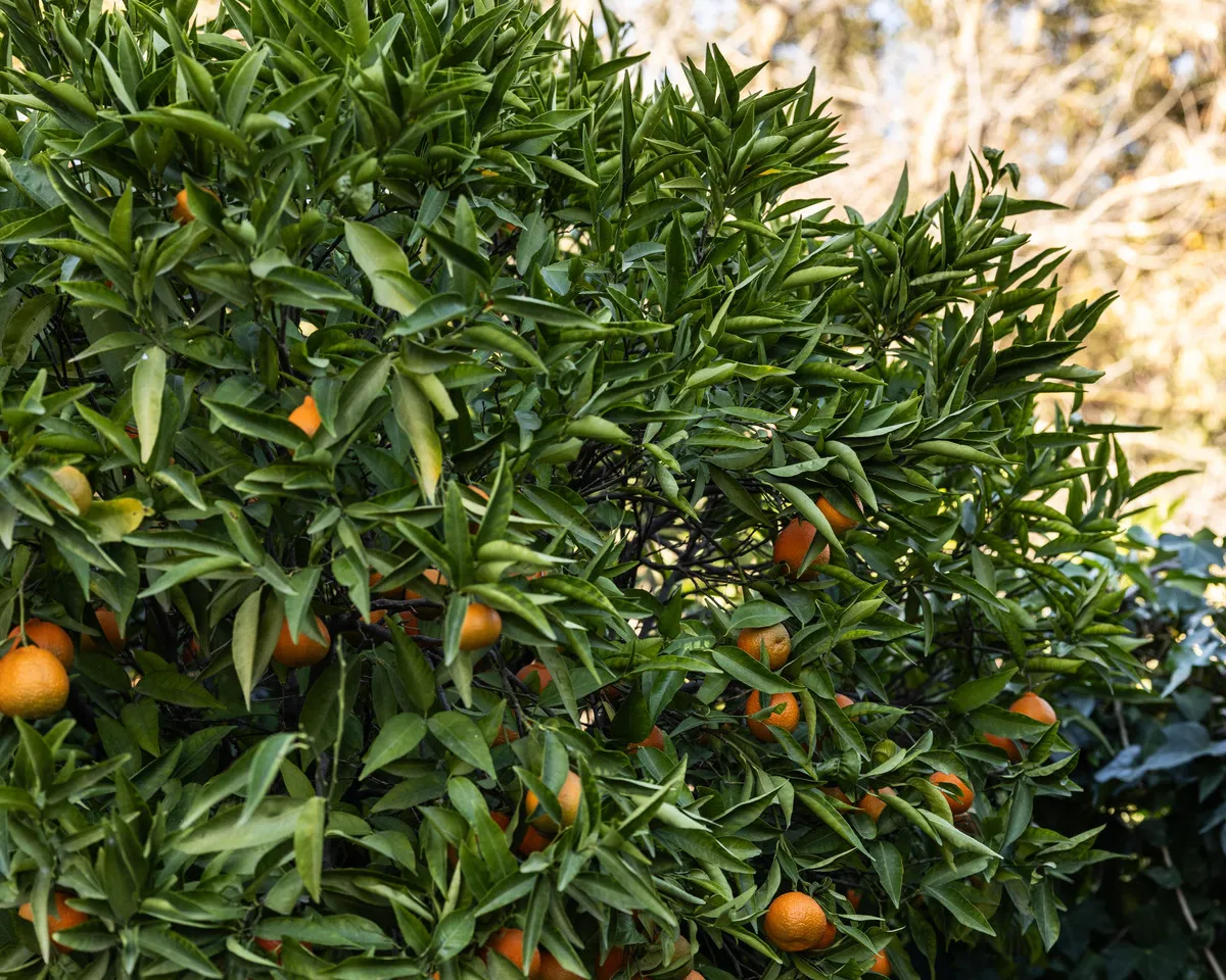 43b67595-432b-4d5b-9544-3139030c0cfb