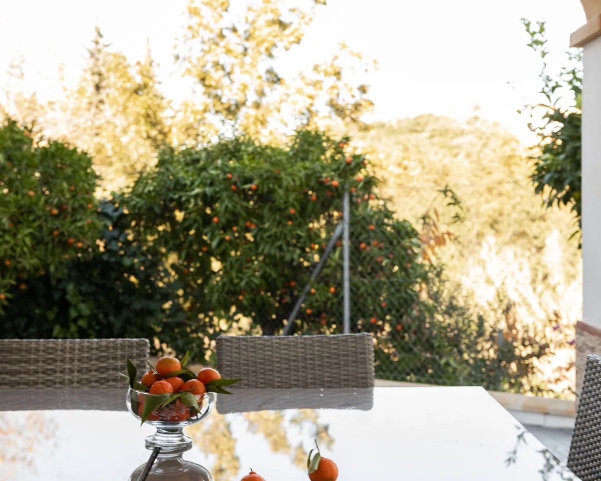 97a29cef-32bf-4d65-83ea-2bb785f91e23