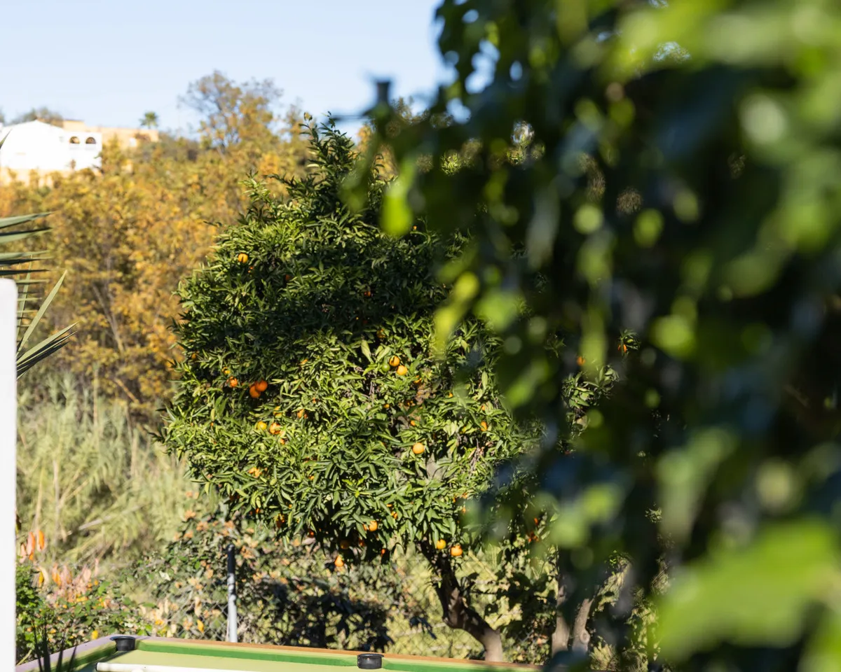 b233edc3-d97d-4011-b276-7a53758a2b47