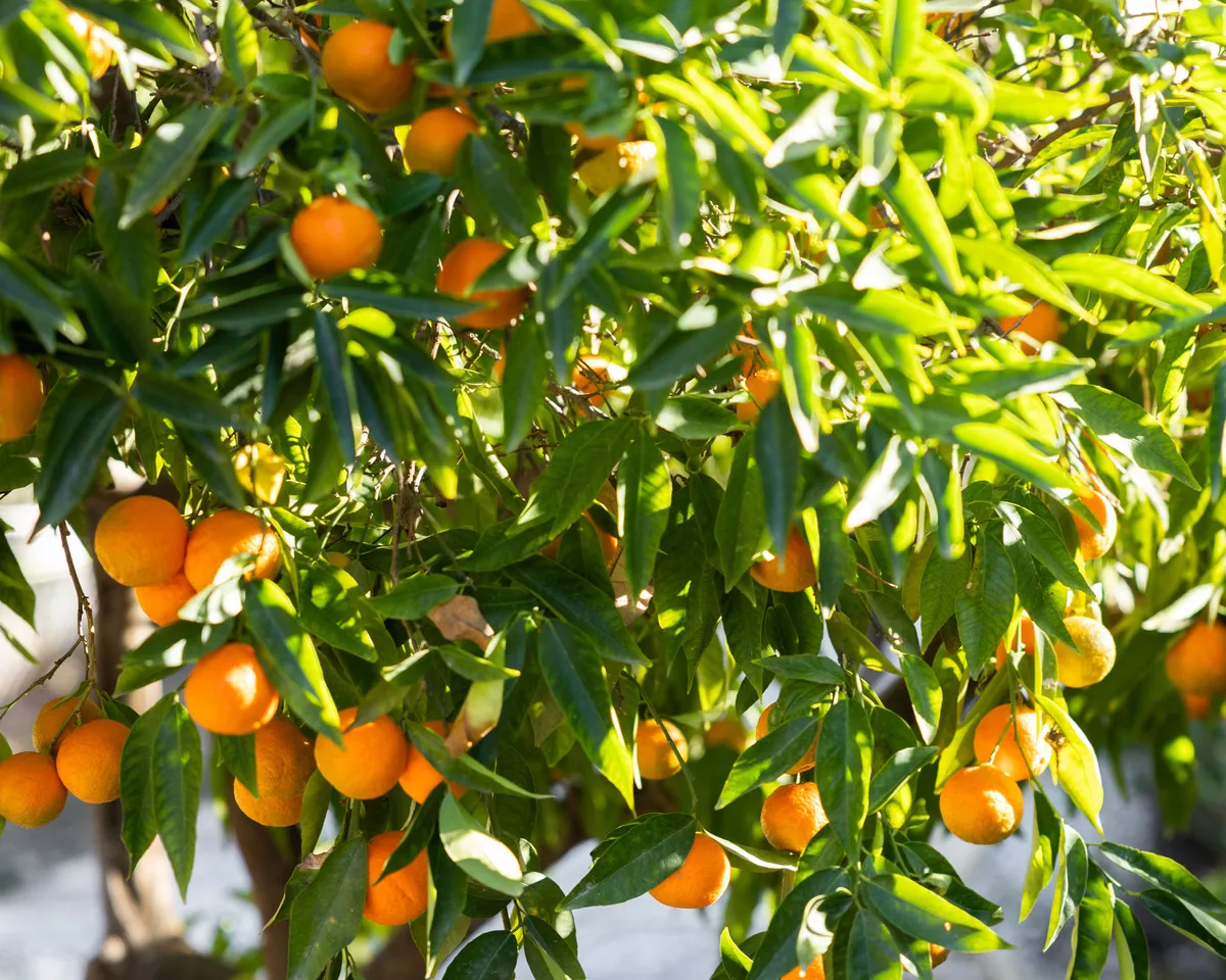 f9d88095-f3d9-4b23-b07d-3aa13f9b892f