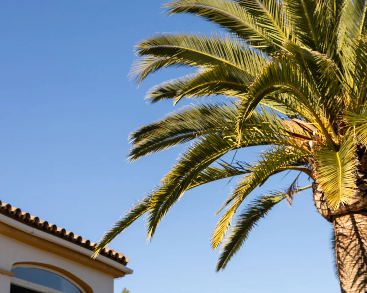 fec96980-4b9e-4477-9051-dd940c306513