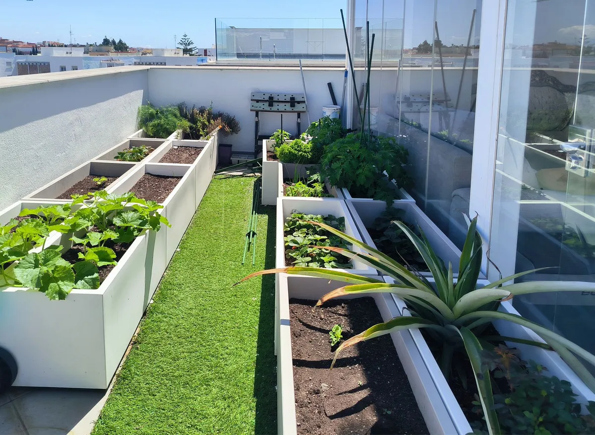 cdc60540-456b-469a-8c89-aa41265d9d1c