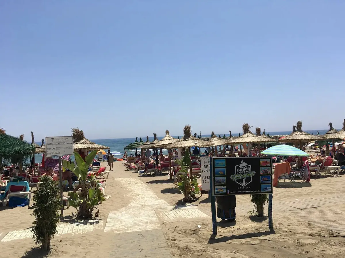 b19f2f91-7b48-4792-a7e8-f50f32759497