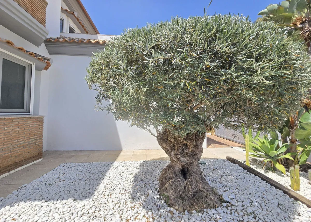 25037c28-63d9-4131-aa28-005da5eb0fca