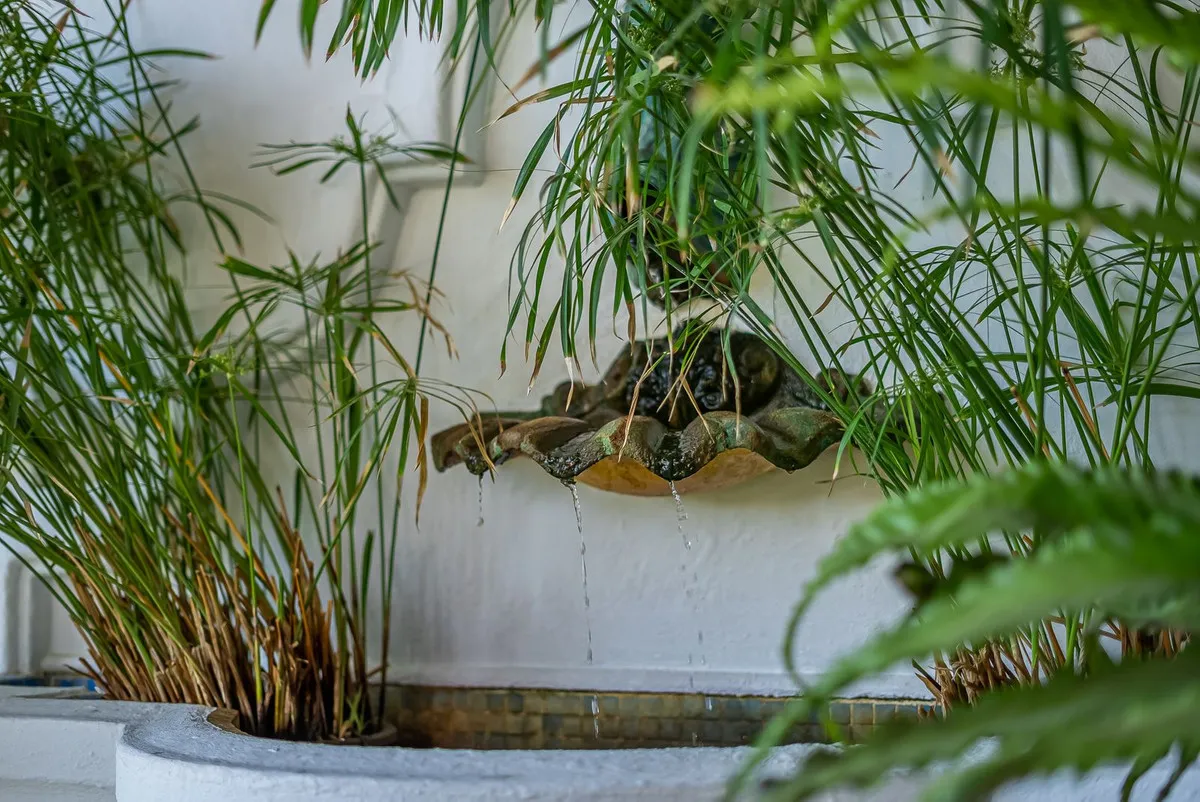 b42ba5c4-586f-4171-99b7-16ba1f384b50