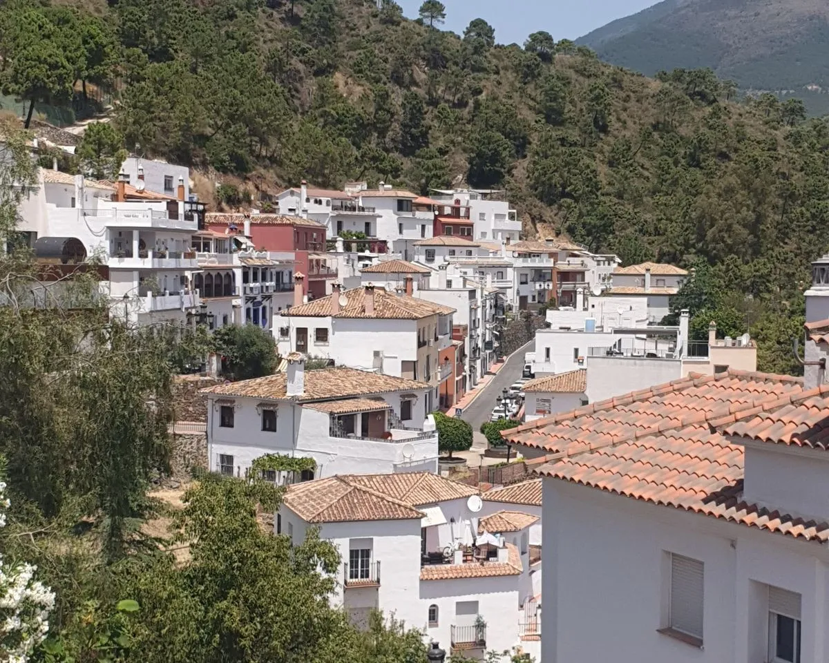 42b3cdeb-b7c0-450e-9ce5-19b7c22a225a