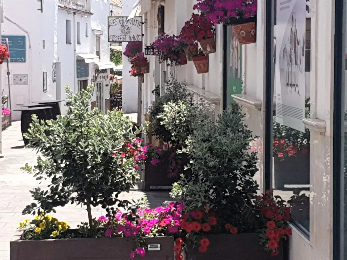 7991ccba-f1c5-420b-ab91-adc48f6a3784