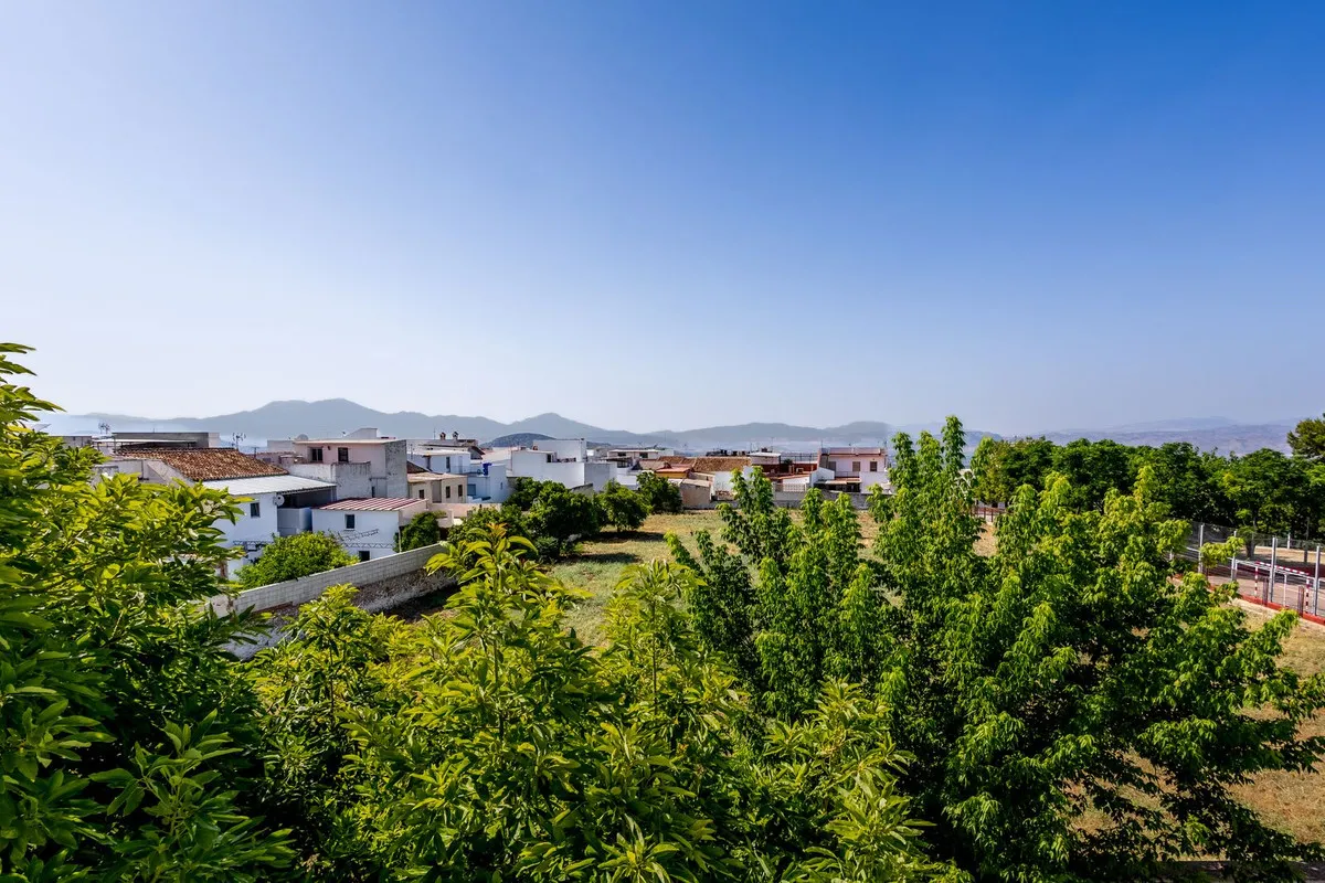 15673e73-6478-4d9a-80b8-dbb1721aa084