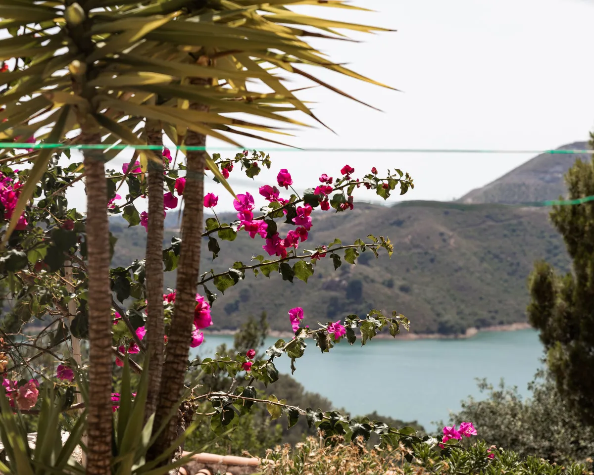 00d82fca-6d3a-401b-97db-98b2d3153228