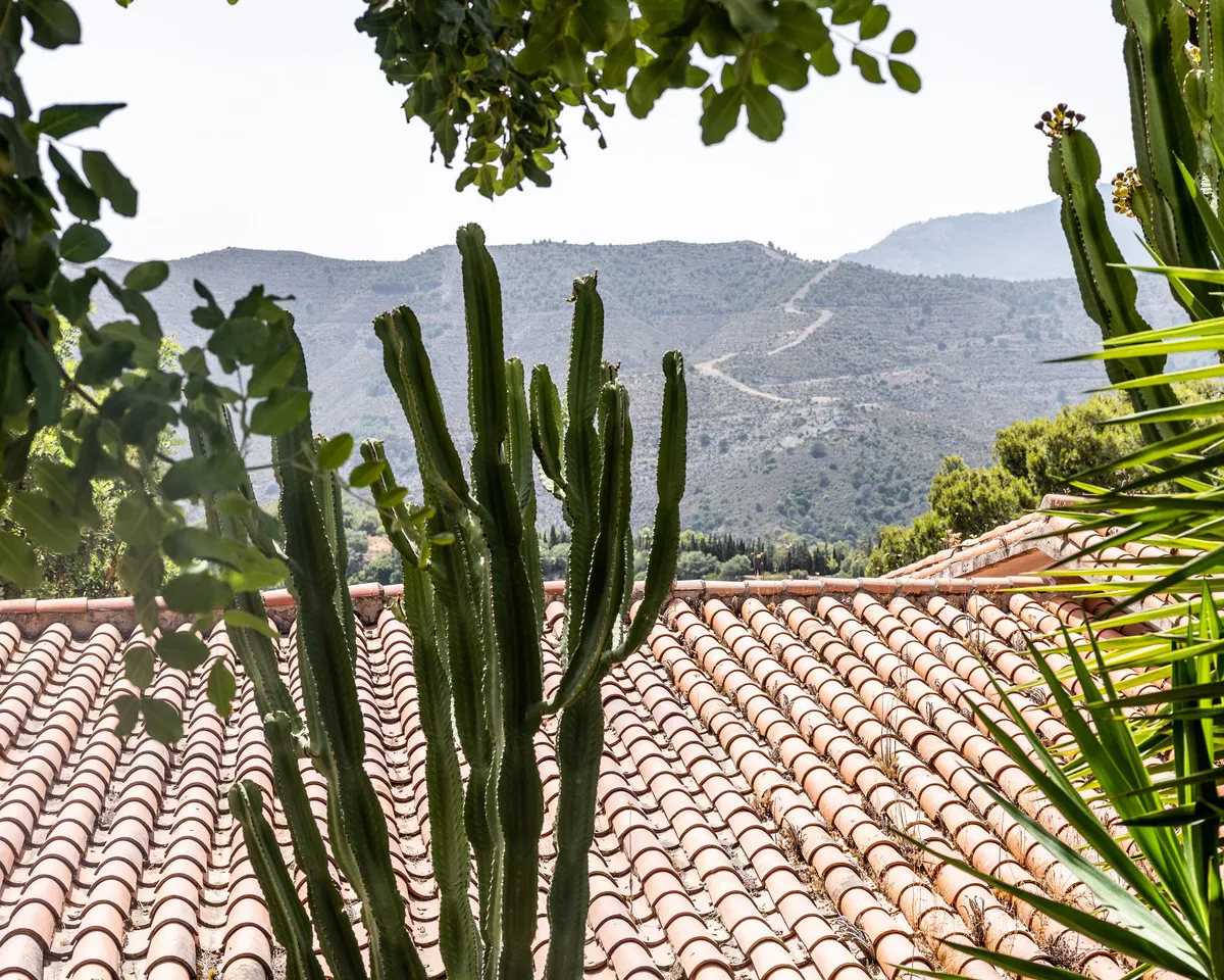 12828b19-c92b-4ac3-9815-90cd822a5573