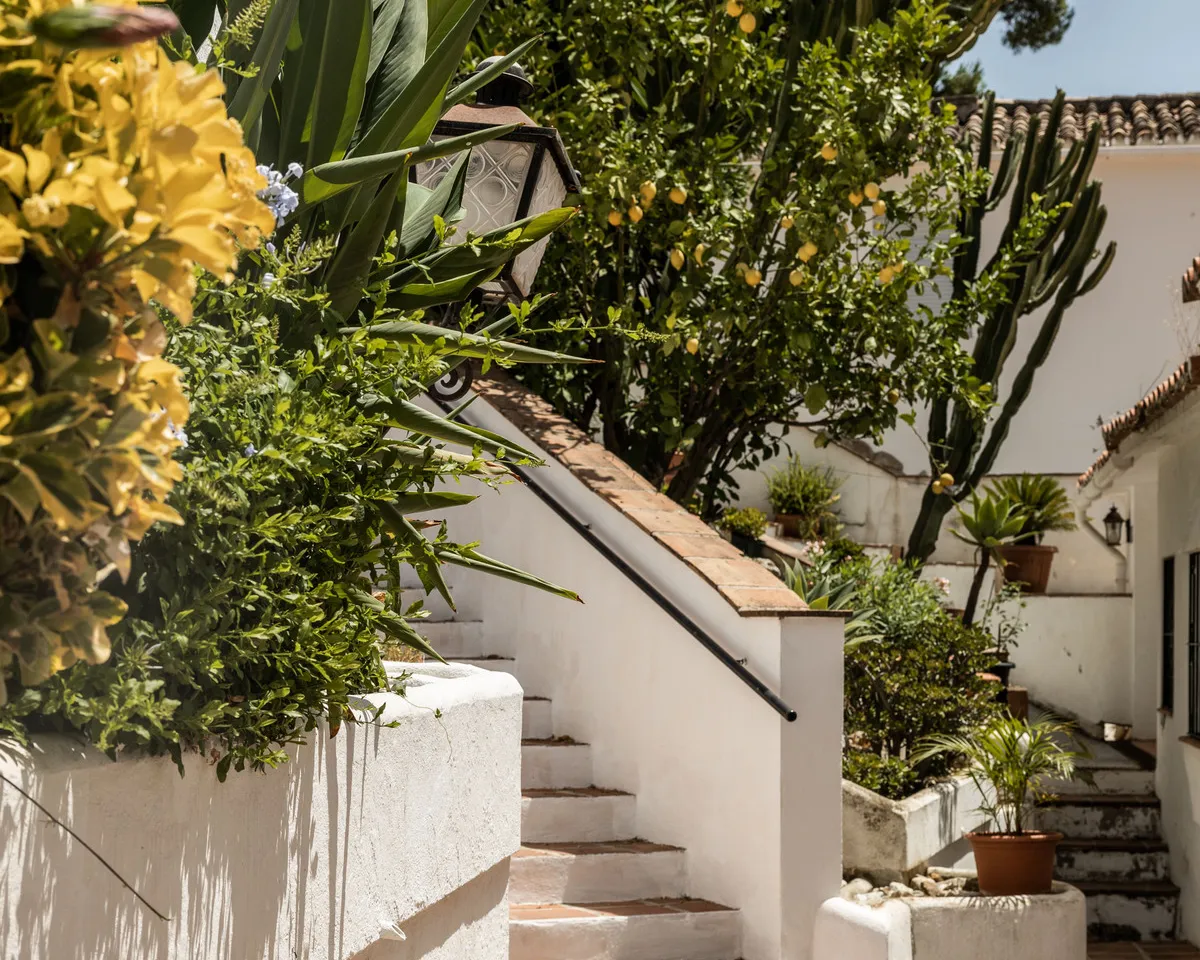 8a61cba6-e5f6-4d9b-bcbe-1c9d8292407e