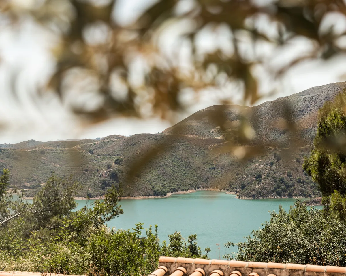 b4906915-b104-429a-8ff1-b26d3d264891