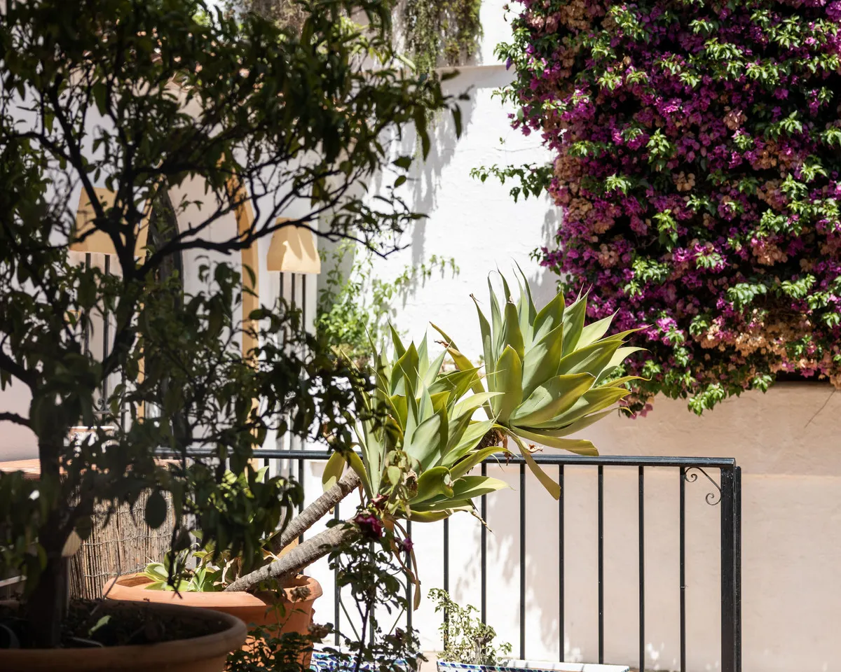 e217ee9b-dbfe-4340-8bd3-4041975768d3