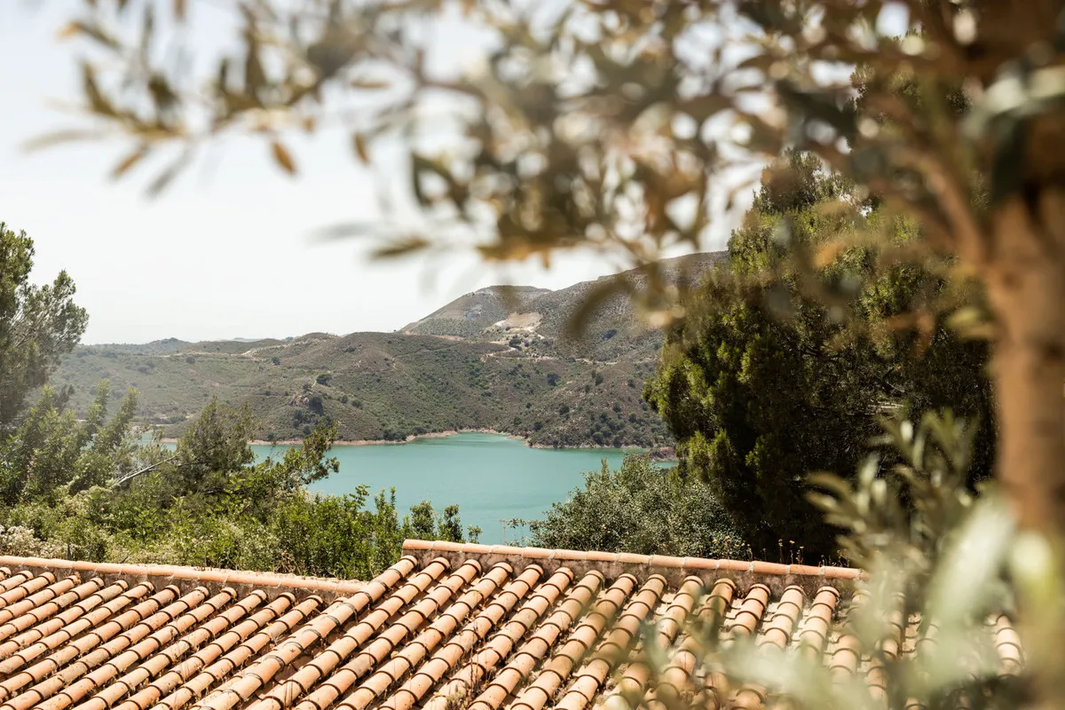 f1c79e95-a61b-4751-b993-99fec61a436a