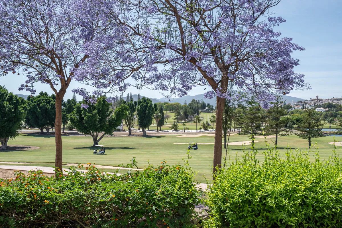 0873bf95-3488-4c67-a334-258d93ab327c