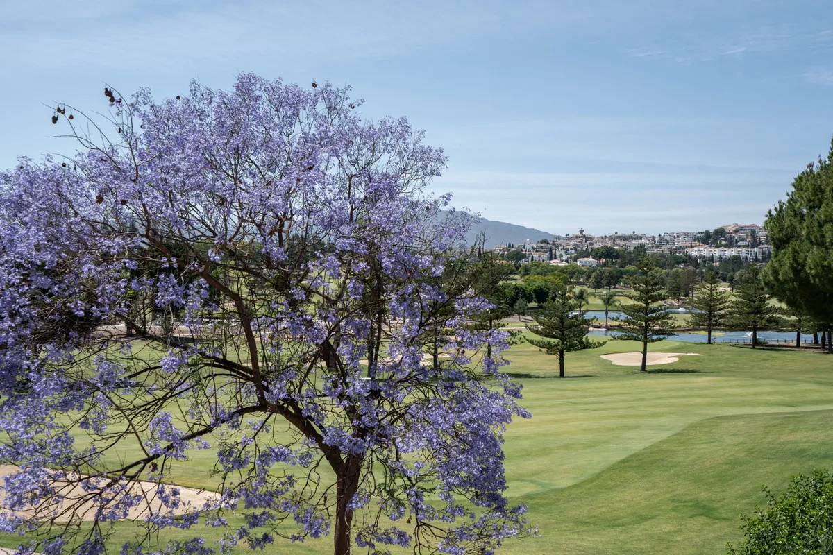 21048b60-aca1-4c08-9e10-a2702a817f50