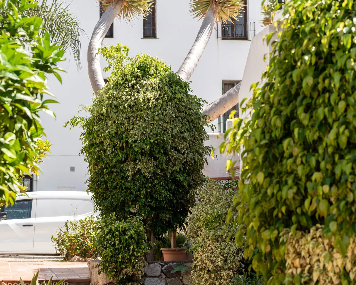 46f9eb0e-bc15-4084-939d-b40a08c47c6c