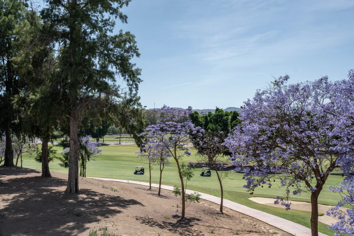 74b8665a-b381-4eb0-a62b-56423de8c064