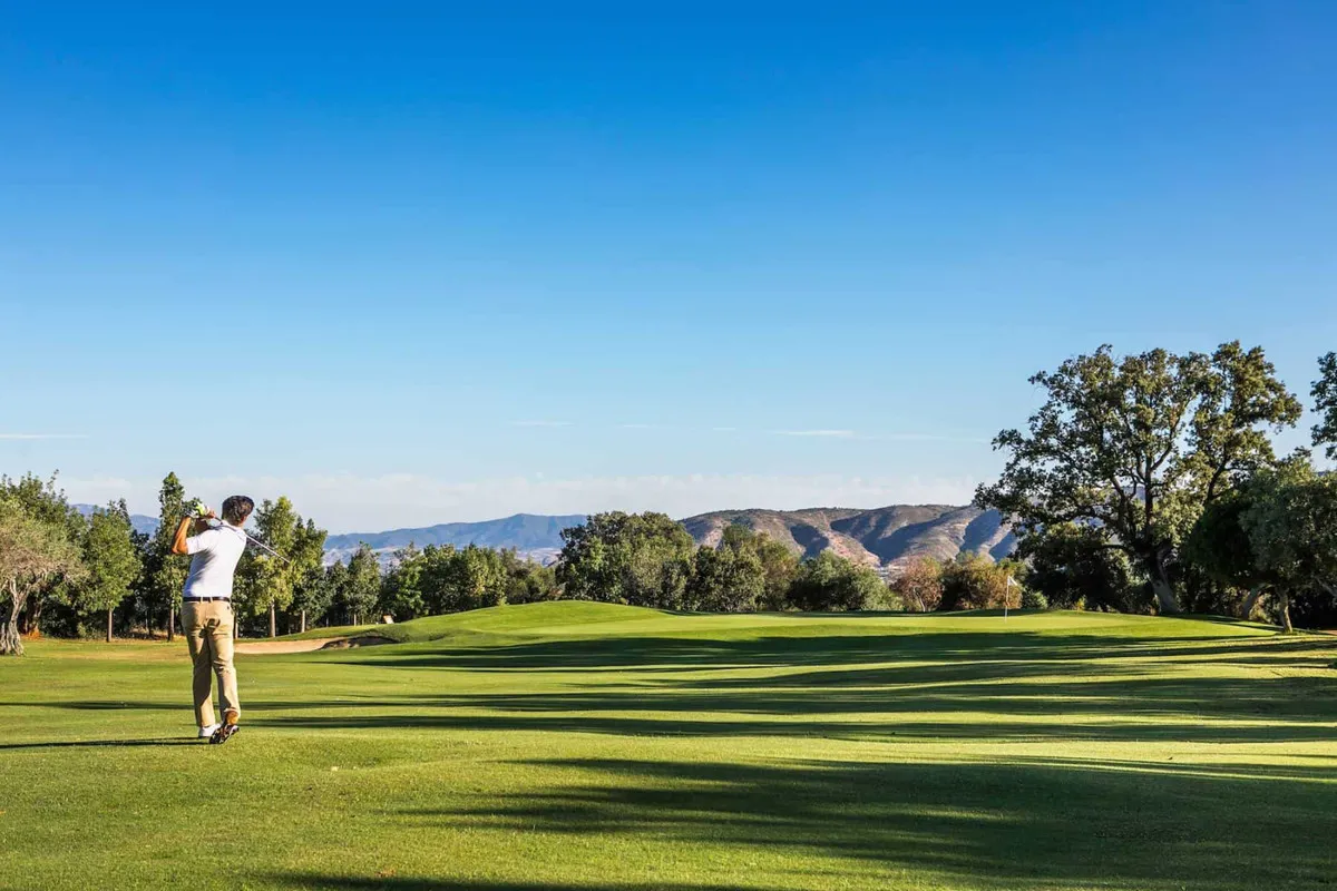 899eb0f8-4868-411e-8c4e-7c69ddb5c98d