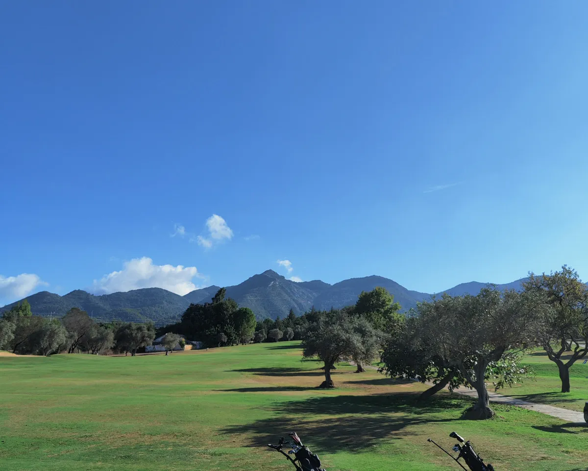 2cc488f8-3d3b-45bf-a30d-f33dd1910305