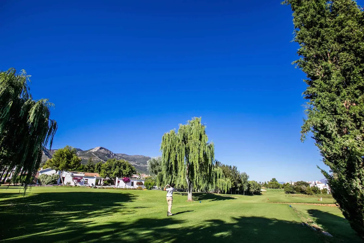 69dacc74-08c3-4c29-96f0-a4470ff1f51b